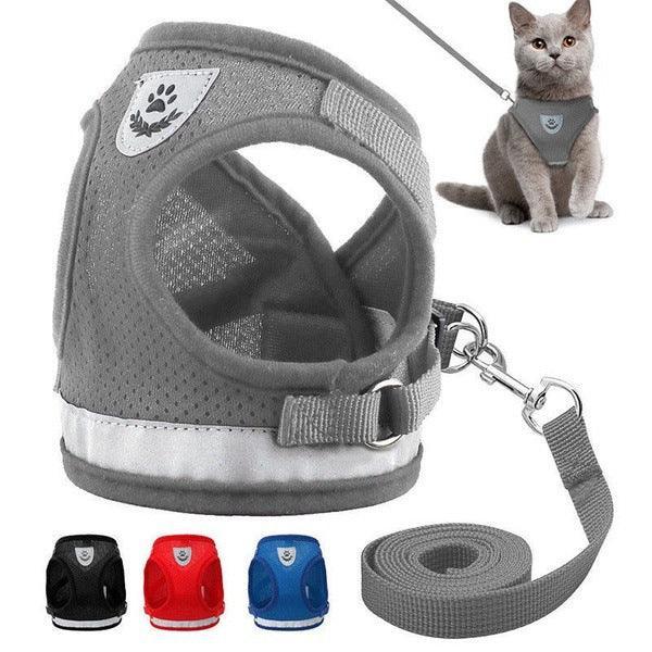 Breathable Mesh Pet Leash With Reflective Design And Matching Belt